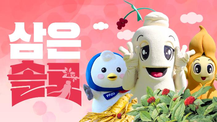 [삼은솔로] 나 인삼인데..나 외로워!! 파주개성인삼축제 같이 가자! 썸네일