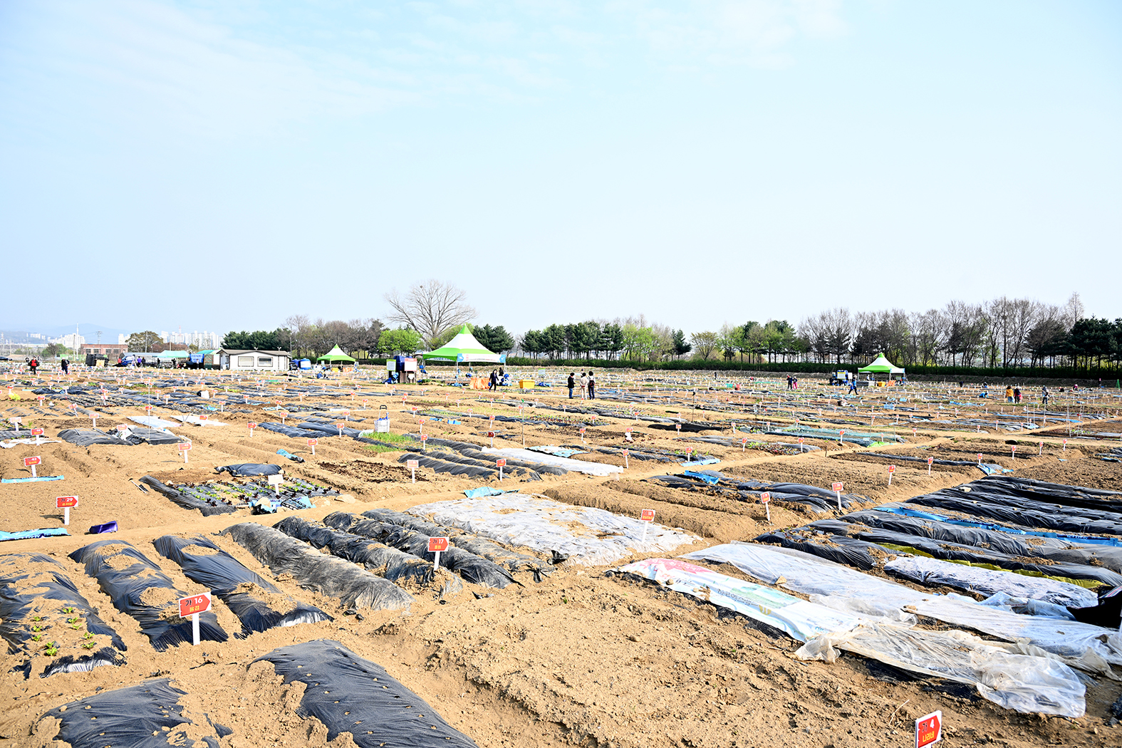 파주시 시민주말농장 개장식 