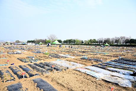 파주시 시민주말농장 개장식(2024. 04. 11)_10