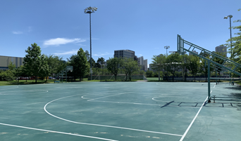 운정체육공원 농구장 2면 썸네일