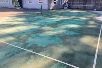 월롱 체육공원 실외족구장 썸네일