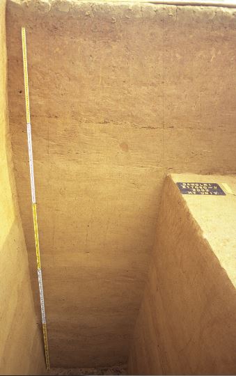 유물발굴 층위사진