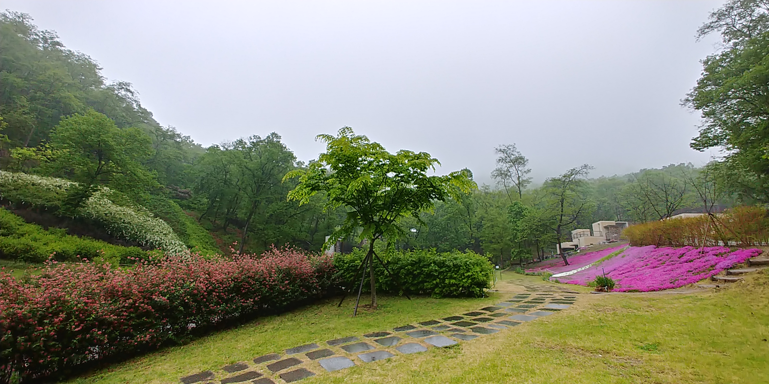 봄