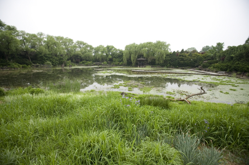 벽초지문화수목원 5