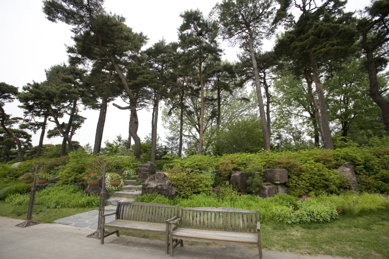 벽초지문화수목원 8