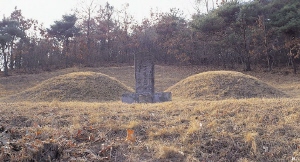 이세화 선생 묘