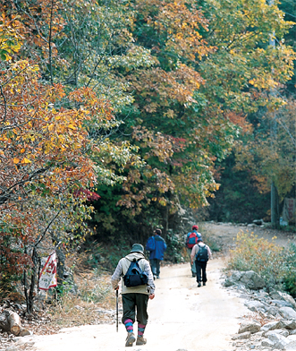 감악산 등산객
