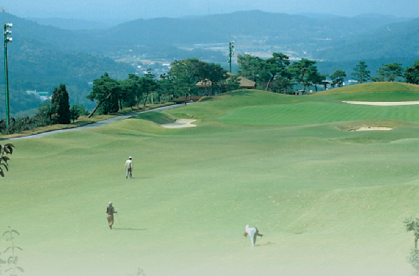골프장전경