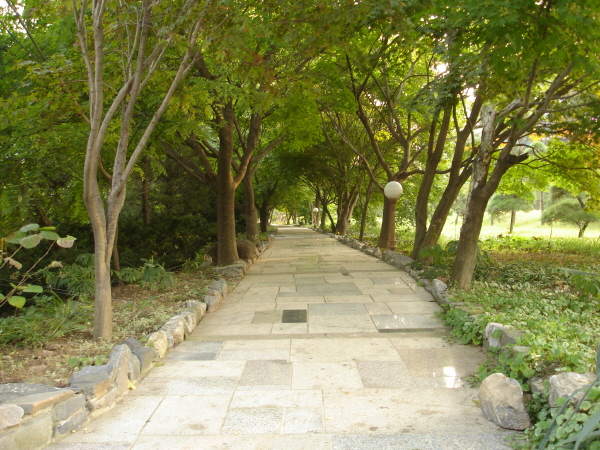 벽초지문화수목원 산책로