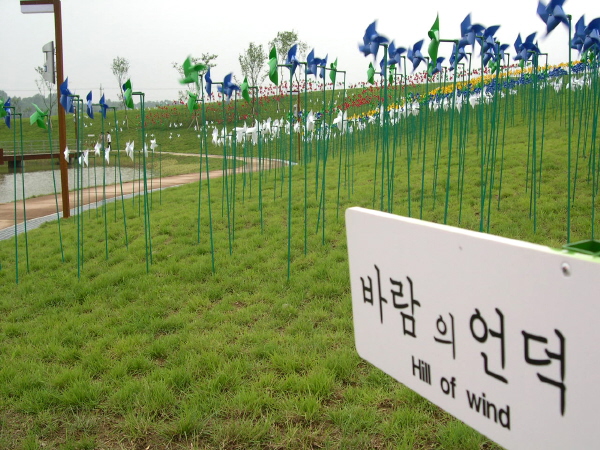 바람의 언덕
