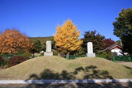 교자총, 전마총