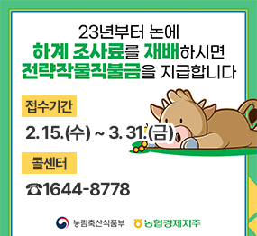 23년부터 논에 하계 조사료를 재배하시면 전략작물직불금을 지급합니다. 접수기간: 2. 15.(수) ~ 3. 31.(금) 콜센터 ☎1644-8778