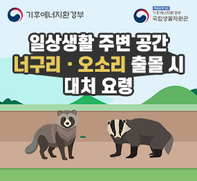 일상생활 주변 공간 야생동물(너구리, 오소리) 출몰 시 대처 요령