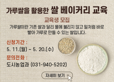 가루쌀을 활용한 쌀 베이커리 교육 / 교육생모집 / 가루쌀이란 기존 쌀과 달리 물에 불리지 않고 밀처럼 바로 빻아 가루로 만들 수 있는 쌀입니다. / 신청기간: 5.11.(월요일) ~ 5.20.(수요일) / 문의전화: 도시농업과 031-940-5202