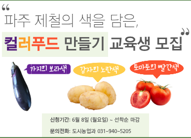 파주 제철음식의 색을 담은 컬러푸드 만들기 교육생 모집 / 가지의 보라색 / 감자의 노란색 / 토마토의 빨간색 / 신청기간: 6월 8일 월요일 ~ 선착순마감 / 문의전화 도시농업과 031-940-5205