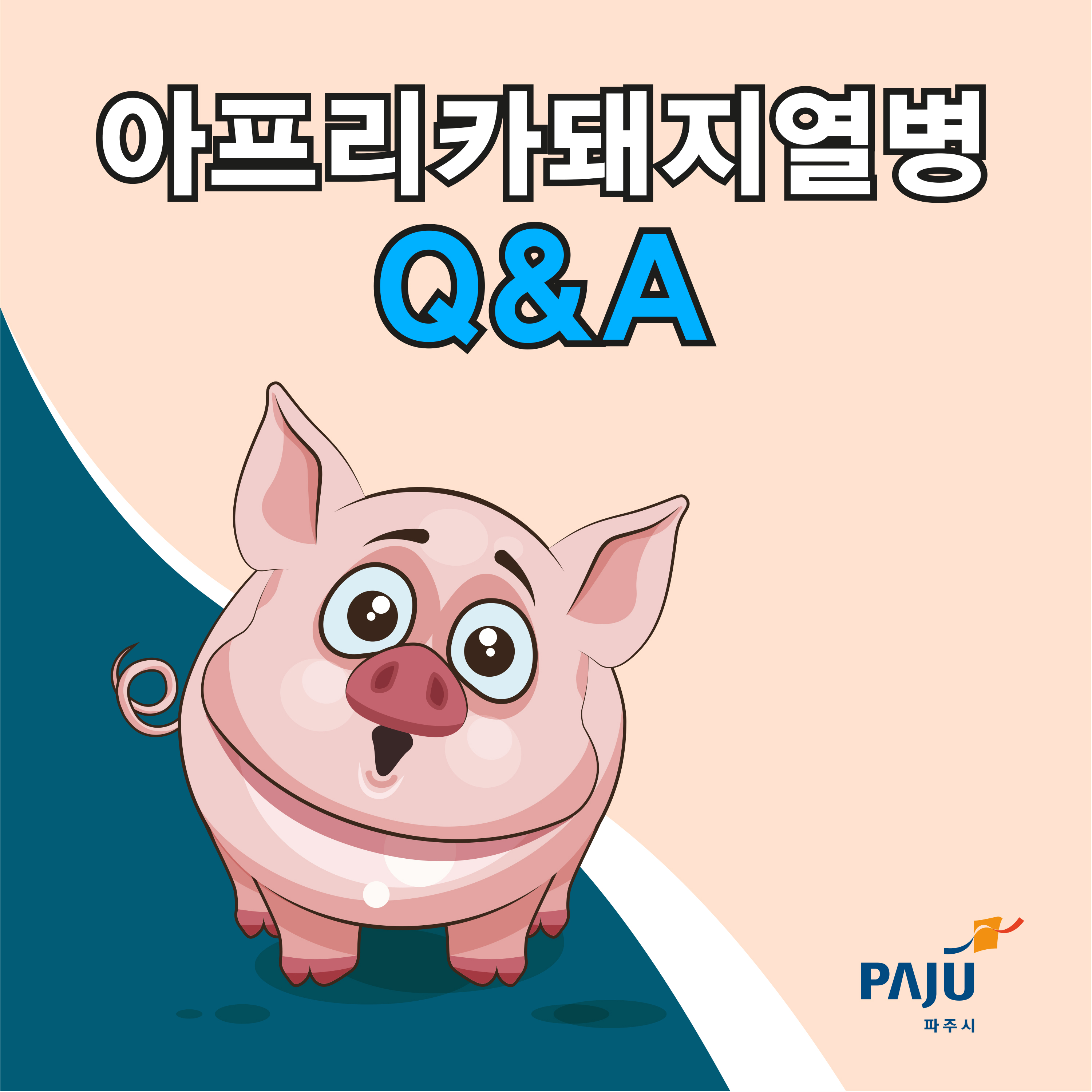 아프리카돼지열병 Q&A