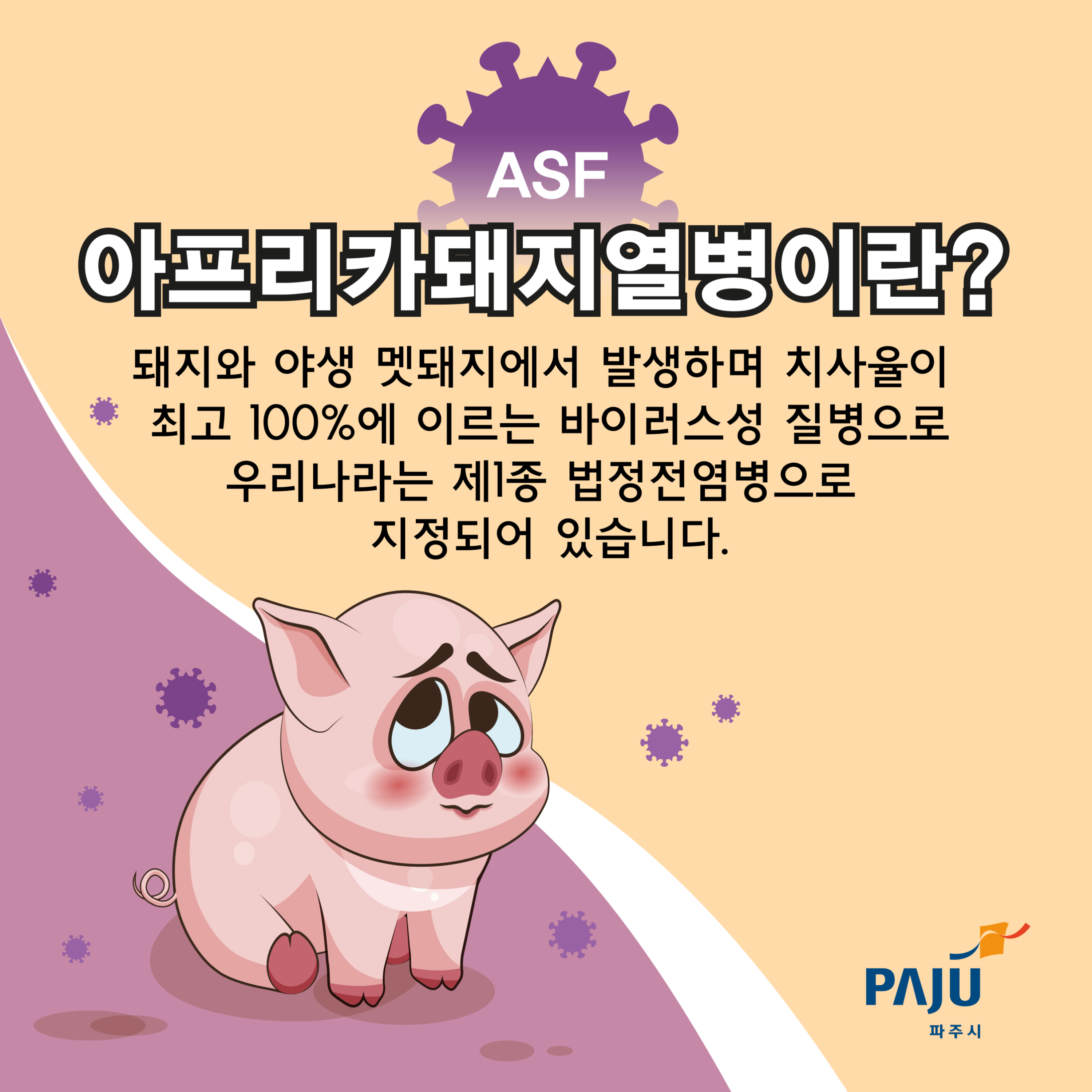 ASF아프리카돼지열병이란?돼지와 야생 멧돼지에서 발생하며 치사율이 최고 100%에 이르는 바이러스성 질병으로 우리나라는 제1종 법정전염병으로 지정되어 있습니다.