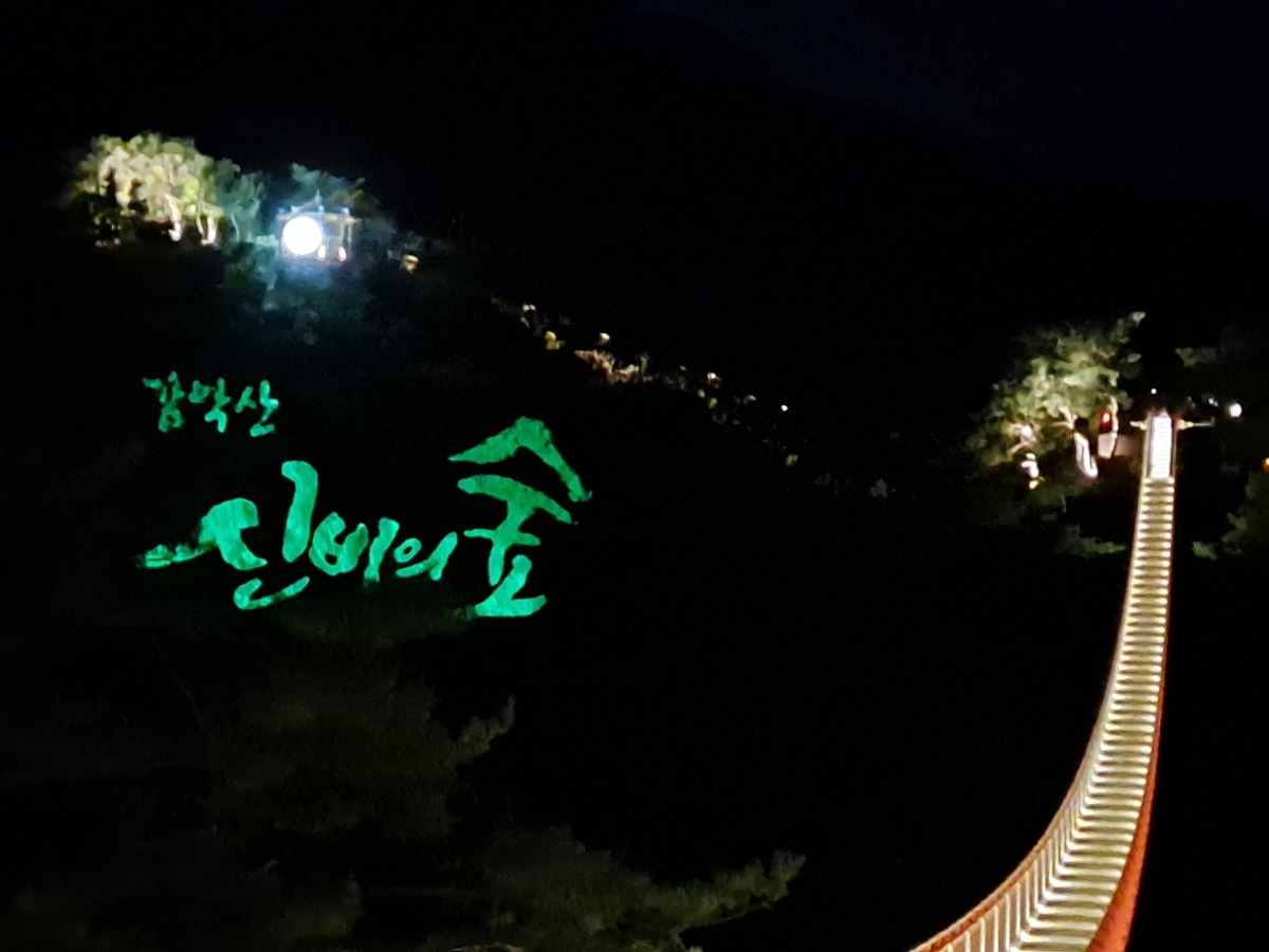 ‘신비의 숲’을 알리는 조명과 출렁다리