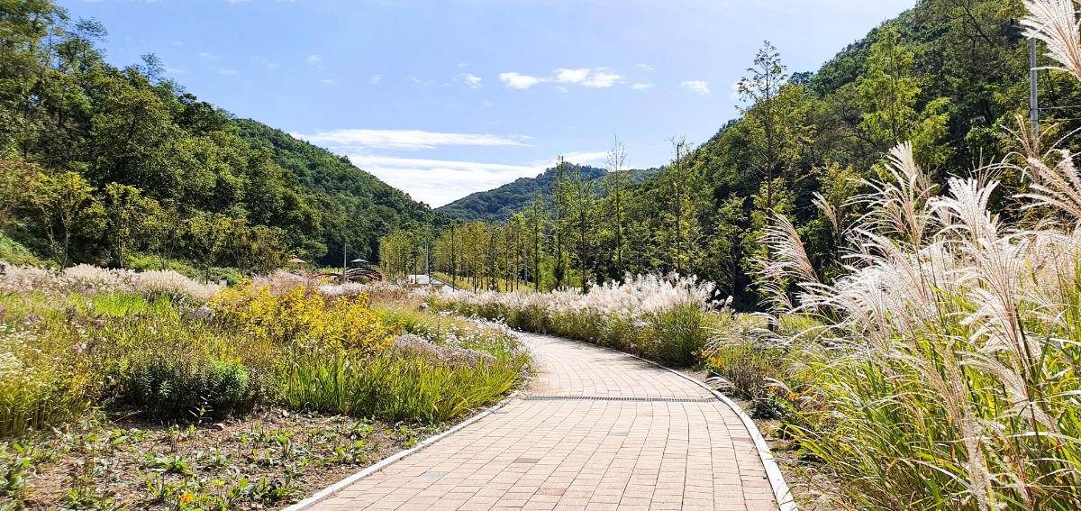 율곡수목원 입구를 들어서면 억새가 가을 손님들을 반긴다.