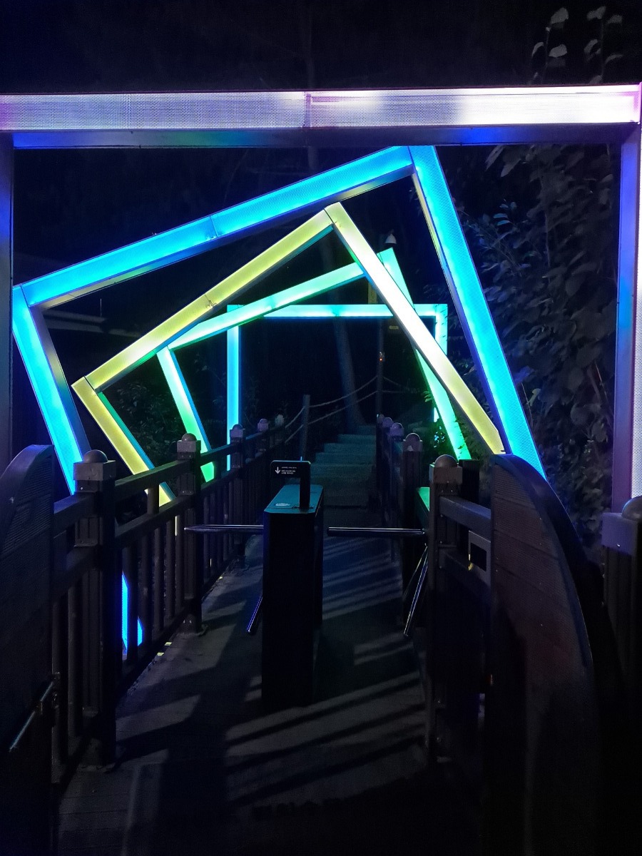 ‘신비의 숲’ 입구