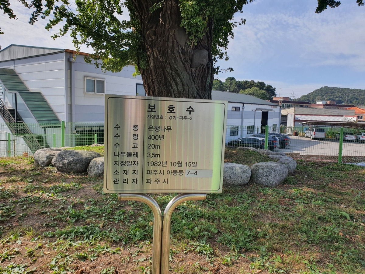 보호수 지정 표지판