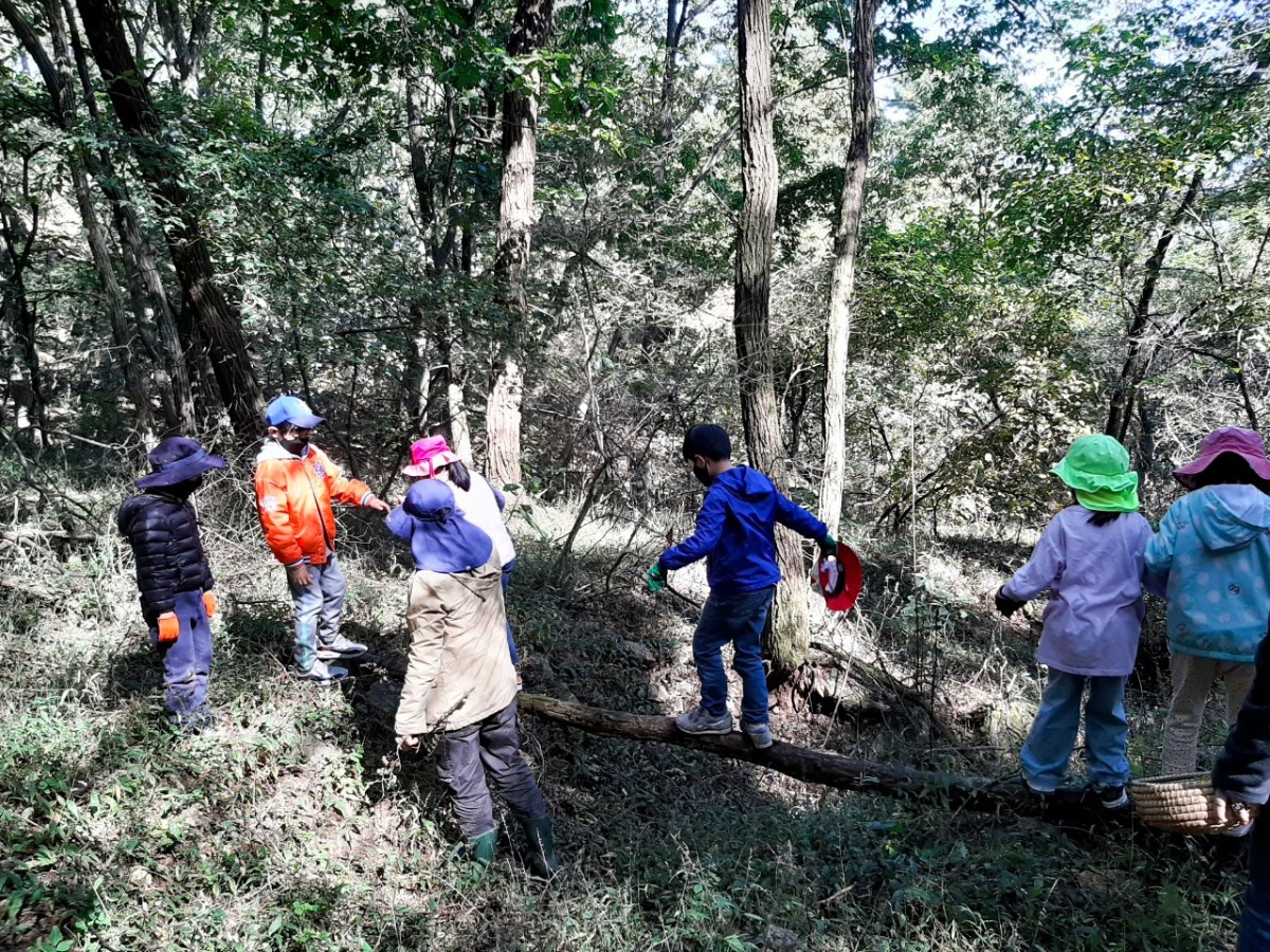  외나무다리를 건너는 아이들