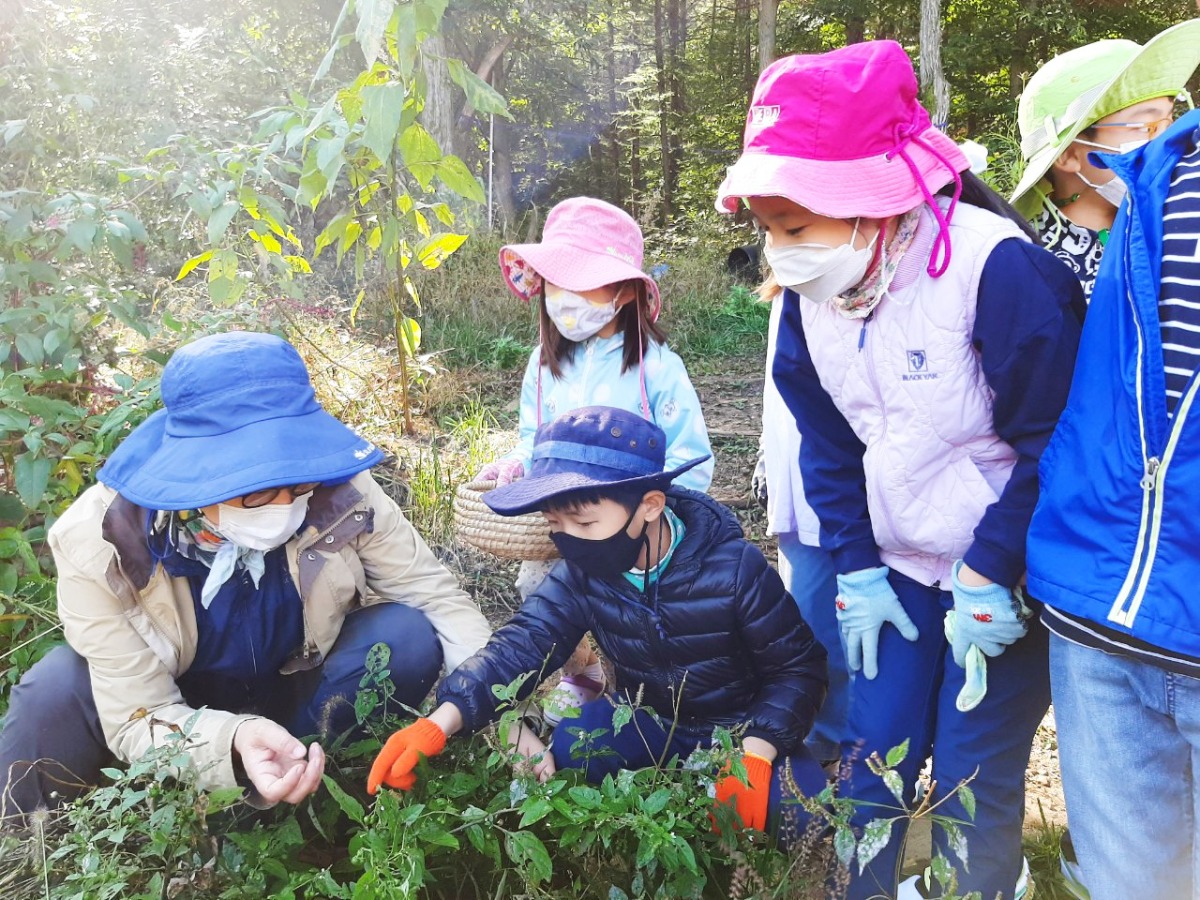 다양한 열매와 씨앗을 알려 주는 숲탐험대반의 토란 선생님