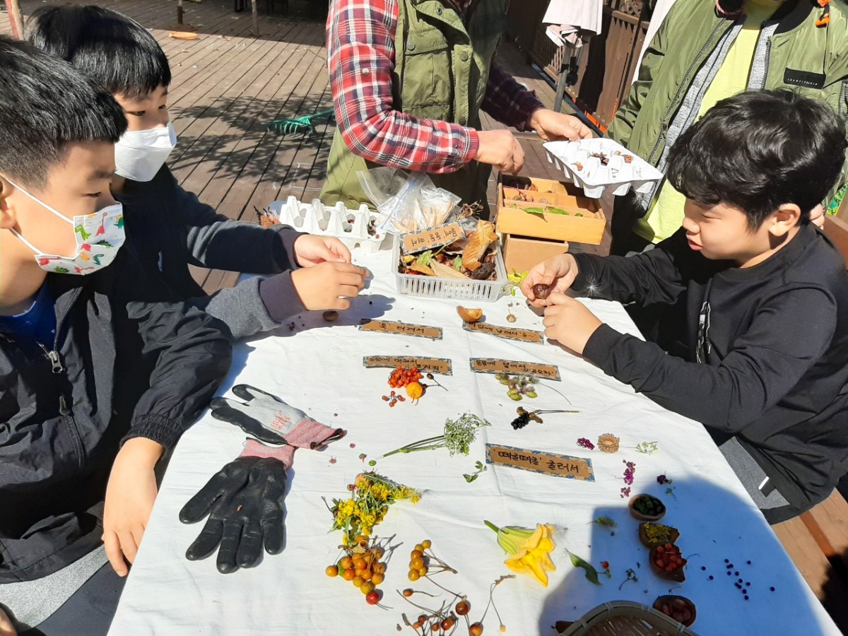 채취한 열매와 나뭇잎, 씨앗 들로 숲을 배우는 아이들