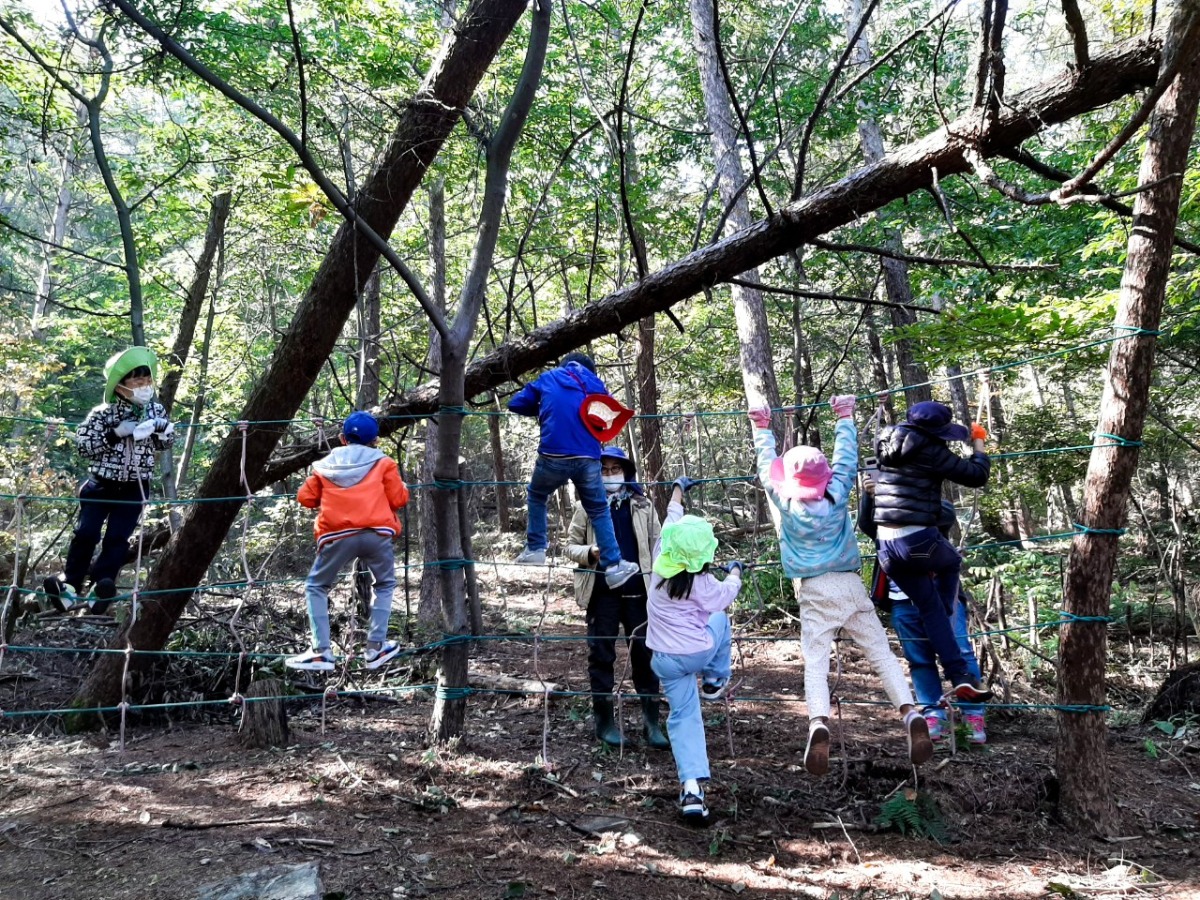 거미줄 모양의 밧줄에 매달려 노는 아이들