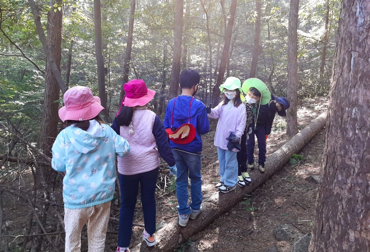 쓰러진 나무 위에서 가위바위보를 하며 노는 아이들