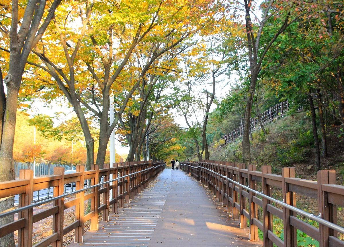 가을 정취가 느껴지는 산책로