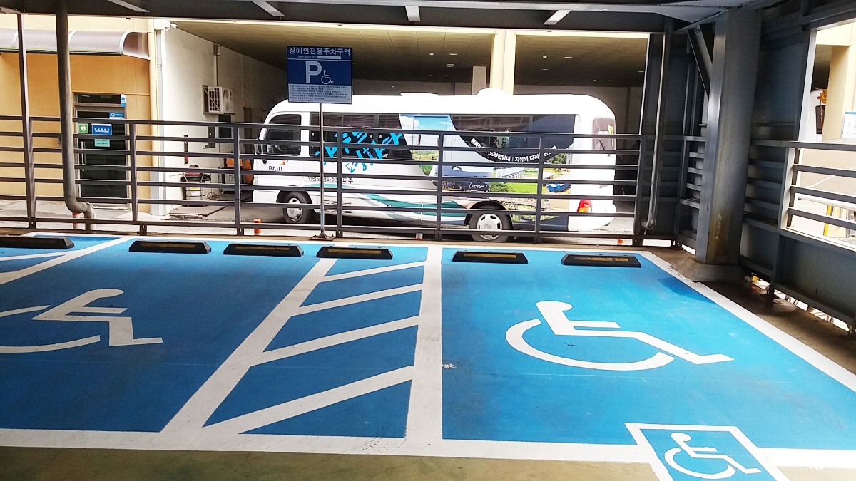 시청 주차장에 파란색으로 새롭게 도색된 장애인 전용 주차 구역