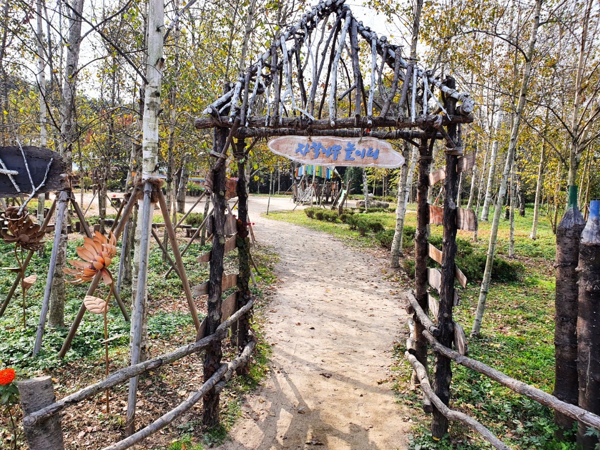 자작나무 놀이터