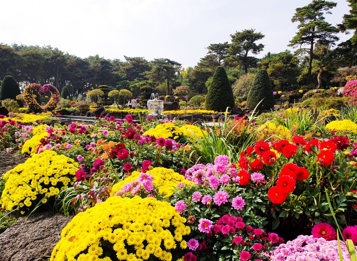 '여왕의 정원'이란 이름답게 화려한 꽃이 가득하다.