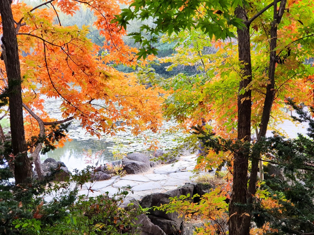 수목원 곳곳에 고운 빛의 오색단풍이 들었다.