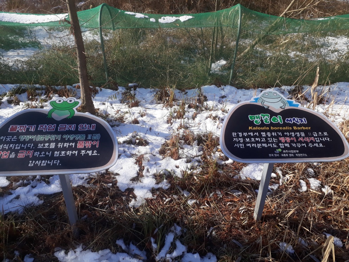 공원 안의 맹꽁이 보호 서식지