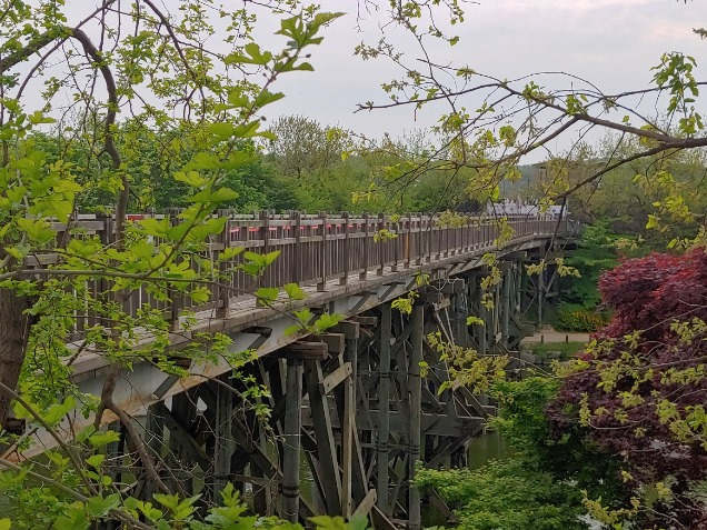 자유의 다리 전경