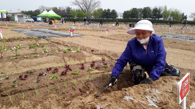 90세 최고령 최기정 어르신