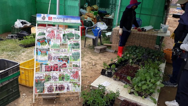 판매하는 씨앗들