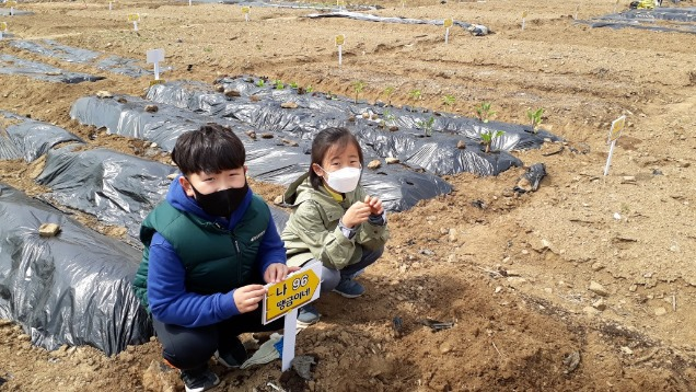 새금초 리우, 아리 남매