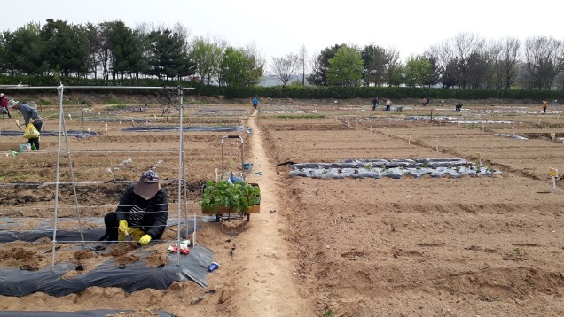 파주희망농장 전경