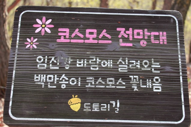 코스모스 전망대