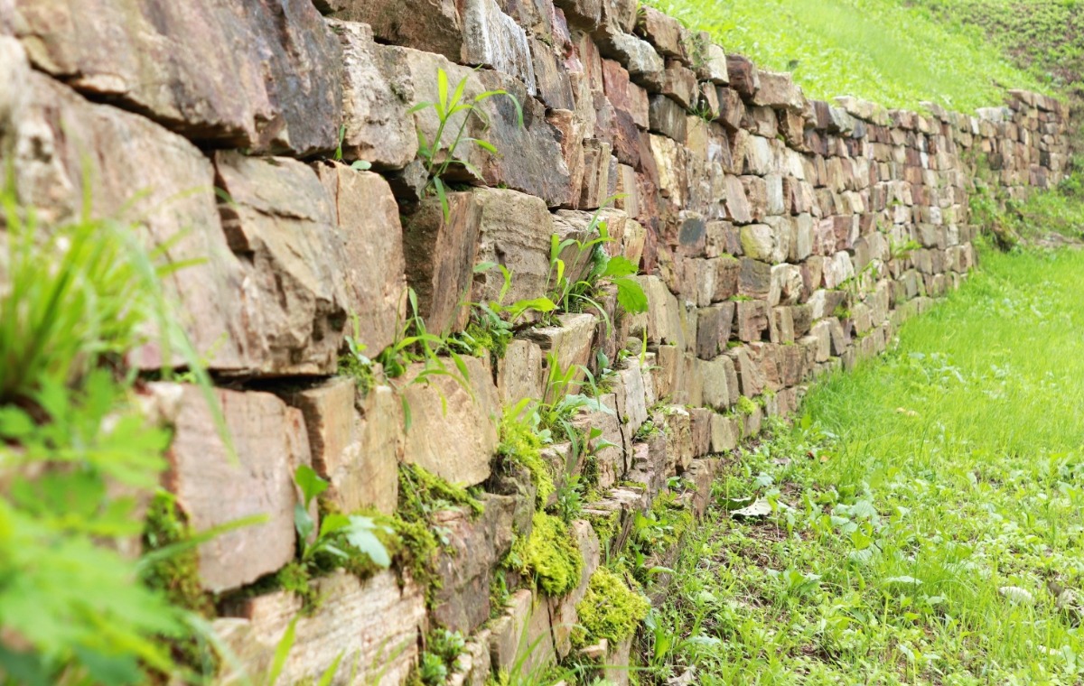 흔적만 남은 오두산성 성벽