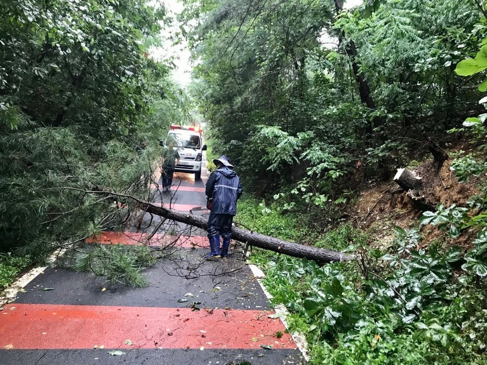 산사태 예방단 활동