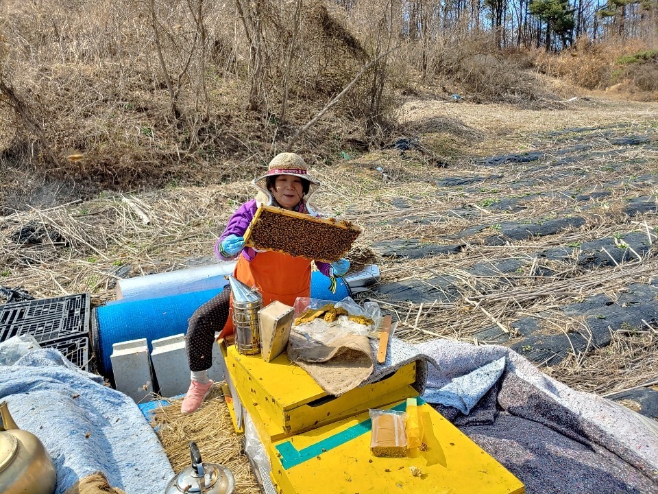 양봉 작업 중인 정유미 씨