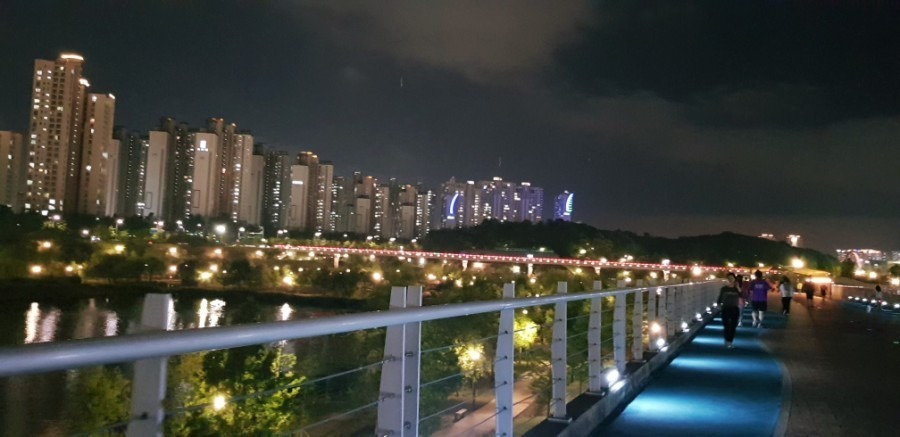 운정호수공원 야경