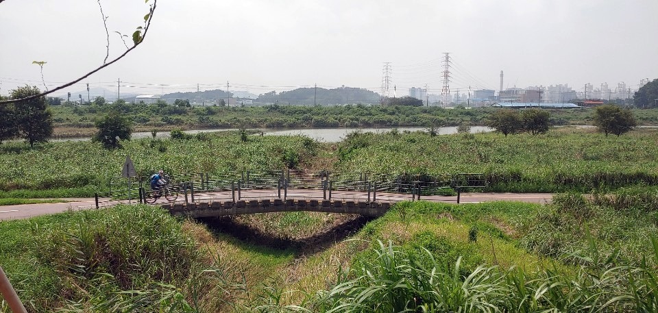 공릉천(사진 제공: 파주시 SNS서포터즈 이미화)