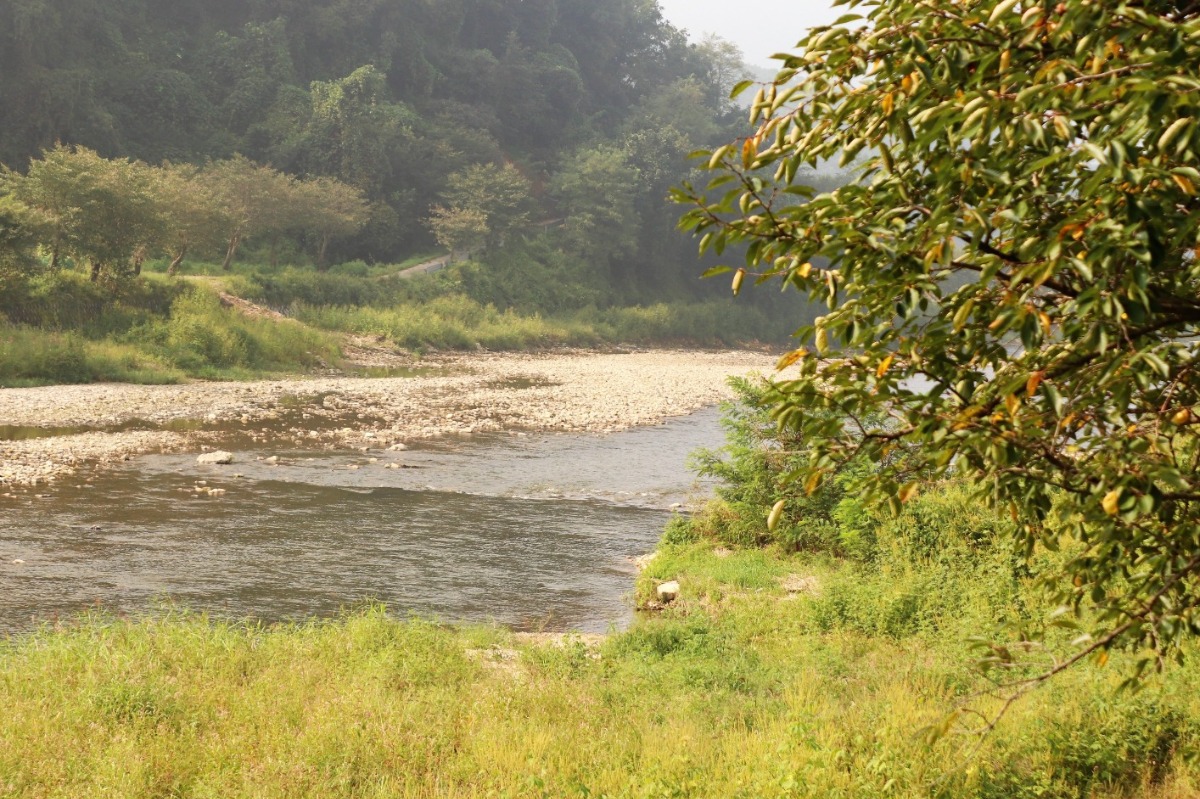 산책로에서 바라본 눌노천