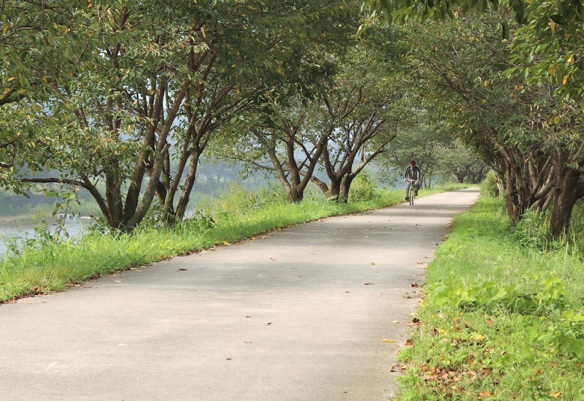 자전거를 타고 산책로를 지나는 시민