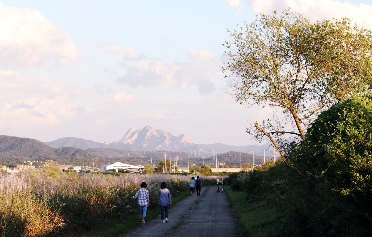 자전거 도로와 산책로를 따라 돌아오는 길에는 웅장한 북한산의 위용을 감상할 수 있다.